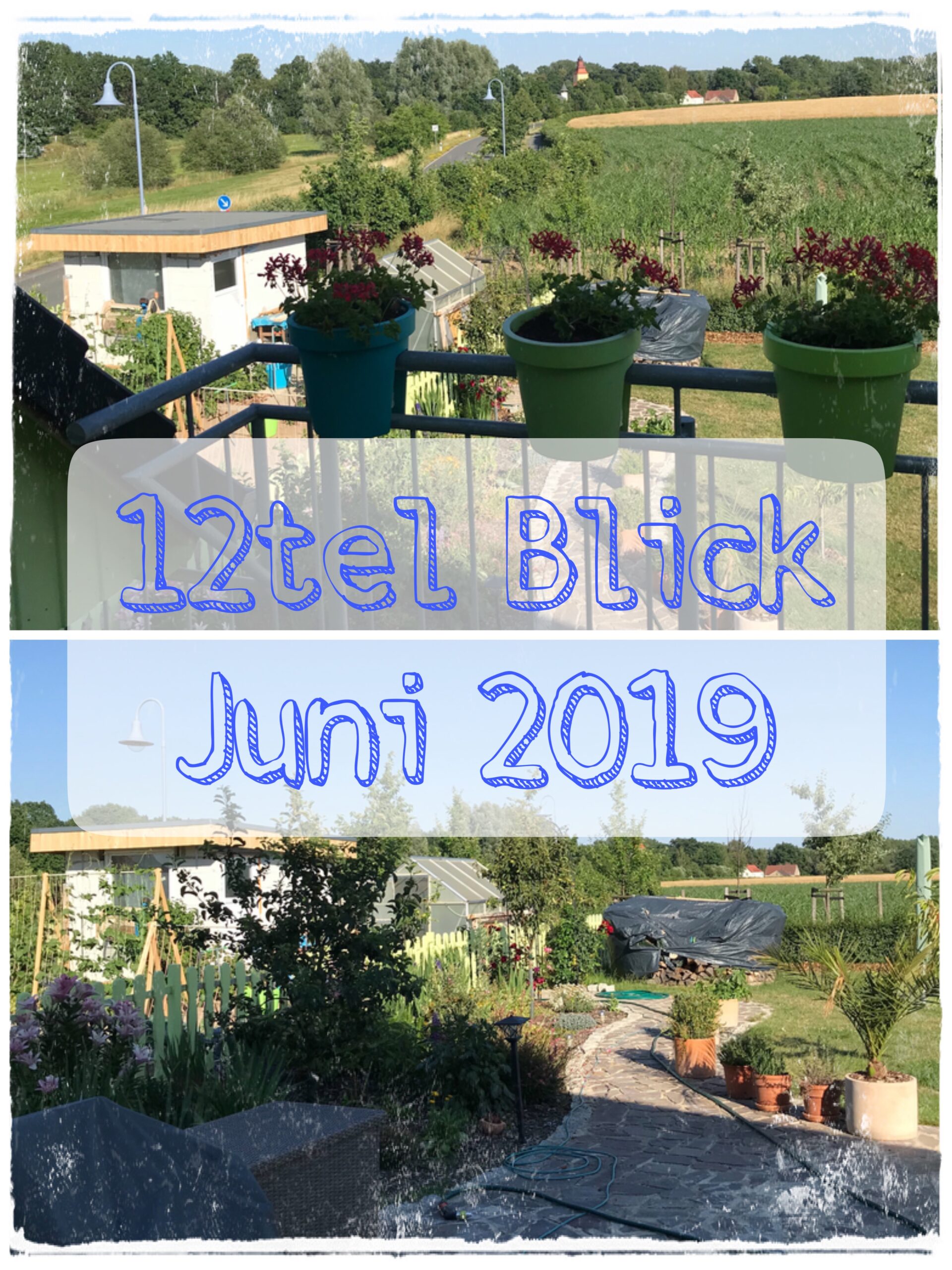 12tel Blick Juni 2019