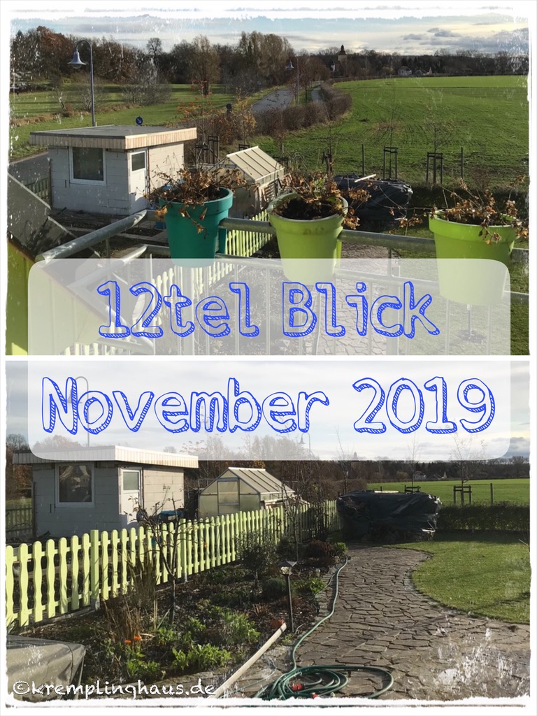 12tel Blick November 2019