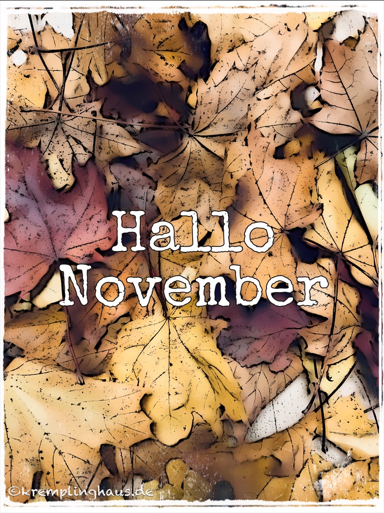Hallo November