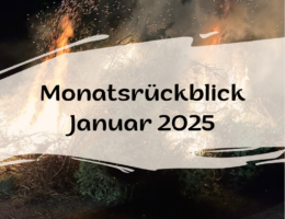 Monatsrückblick Januar 2025