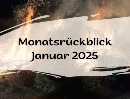 Monatsrückblick Januar 2025