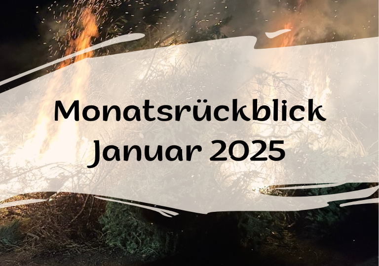 Monatsrückblick Januar 2025