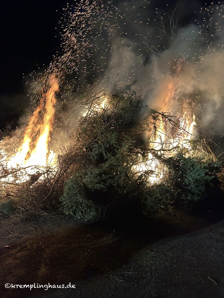 Neujahrsfeuer, großes brennendes Lagerfeuern mit alten Tannenbäumen und Holz