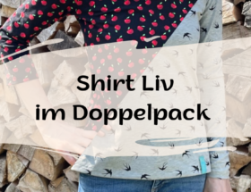 Shirt Liv im Doppelpack Blogpost Cover